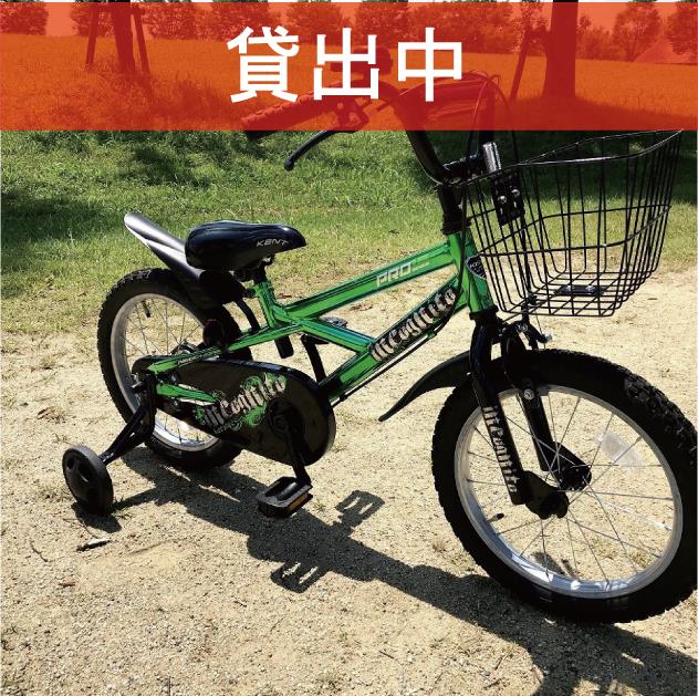 D-04　　　※画像が表示されるまでお待ちください。