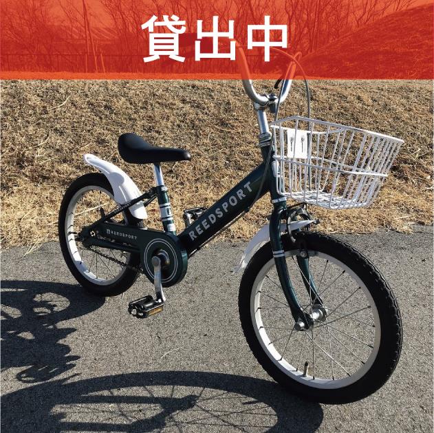 D-07　　　※画像が表示されるまでお待ちください。