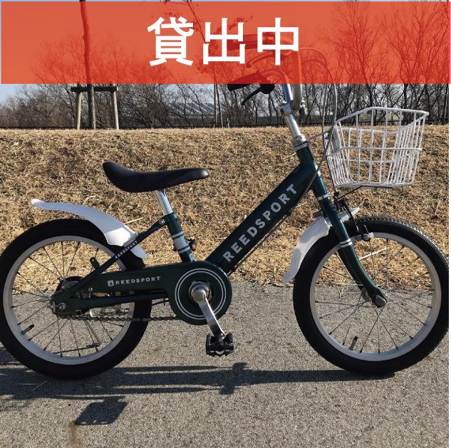 D-07　　　※画像が表示されるまでお待ちください。