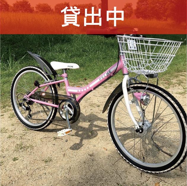 G-01　　　※画像が表示されるまでお待ちください。