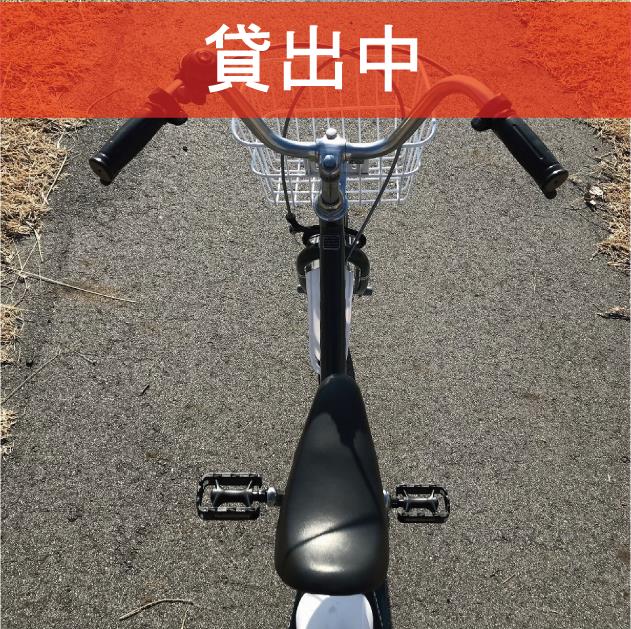 D-07　　　※画像が表示されるまでお待ちください。