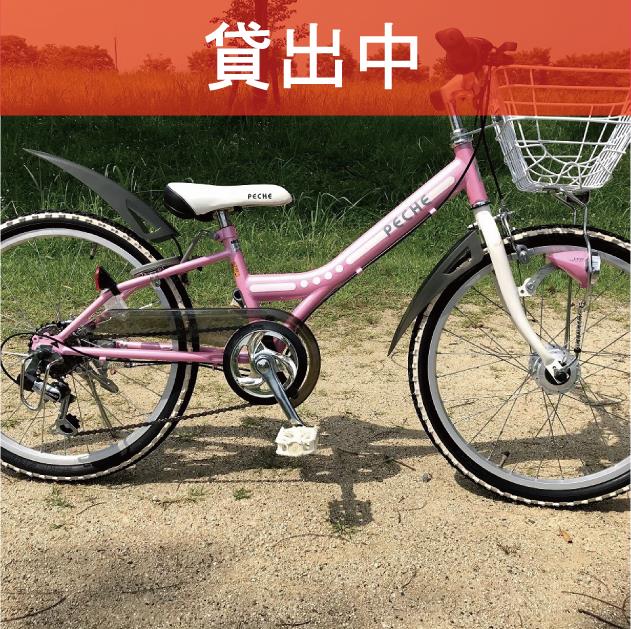 G-01　　　※画像が表示されるまでお待ちください。